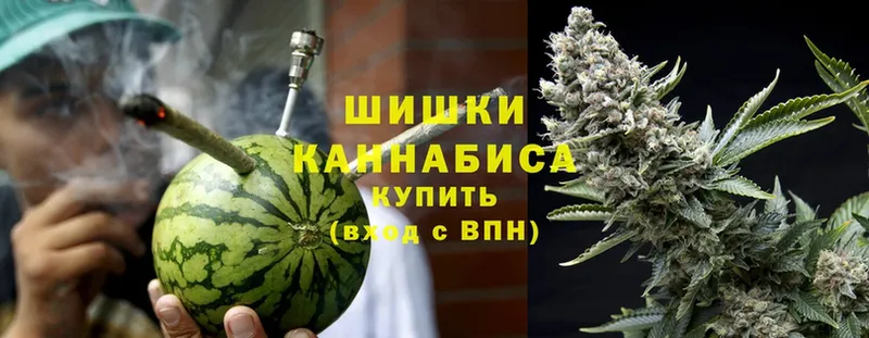 Канабис SATIVA & INDICA  Чернушка 